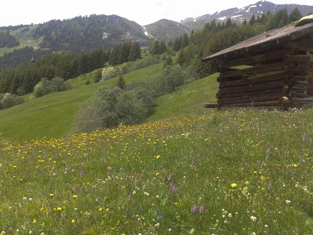 Apart Panoramablick Kaunerberg المظهر الخارجي الصورة